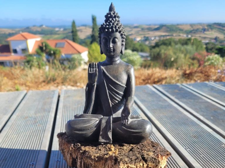 SeeYourSoul – Buddha-Statue in der Natur als Symbol für Achtsamkeit, inneren Frieden und die Aktivierung der eigenen Urkraft im Coaching.
