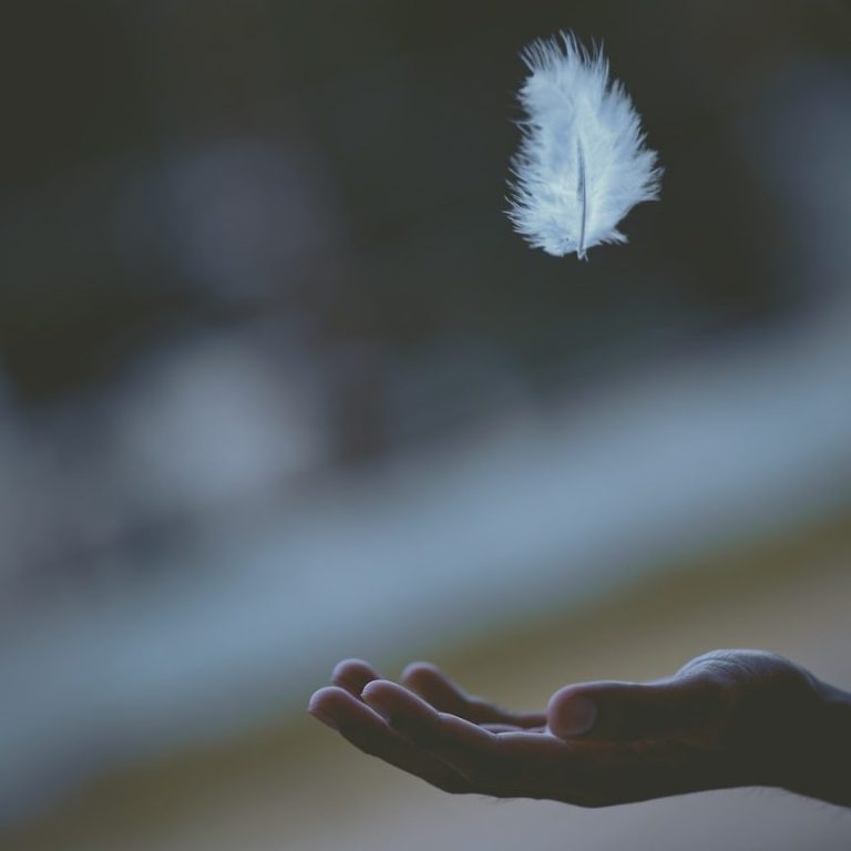 SeeYourSoul - Erdenengel- Webinar und Heilung: Empfangen von göttlicher Führung und Leichtigkeit durch eine fallenede Feder in die Hand